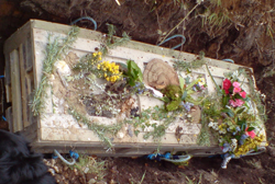 Burial Image 5 corrupt and not displaying