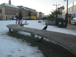 Tale of Two Benches 2